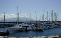 Horta marina with Pico